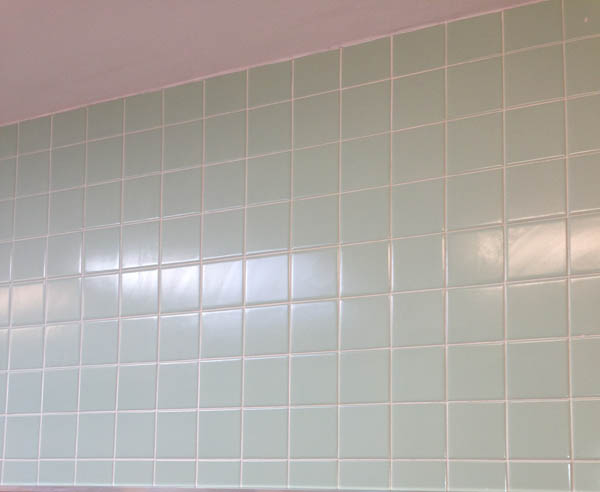 Freshly Cleaned Bathroom Tile Grout